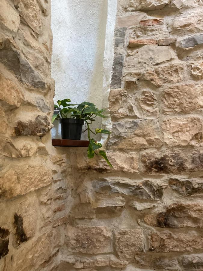 Place Aux Herbes Apartment Nimes Exterior photo